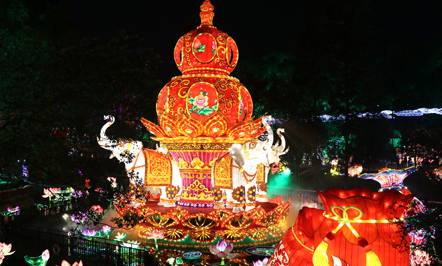 第二十五届国际灯会我司灯组亮灯现场