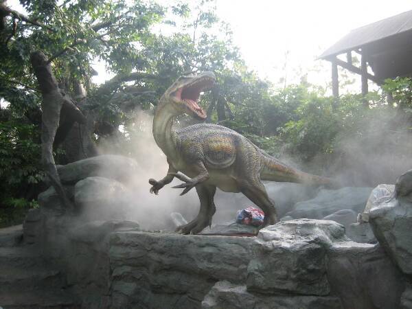 我司成品恐龙展示，欢迎预定布展